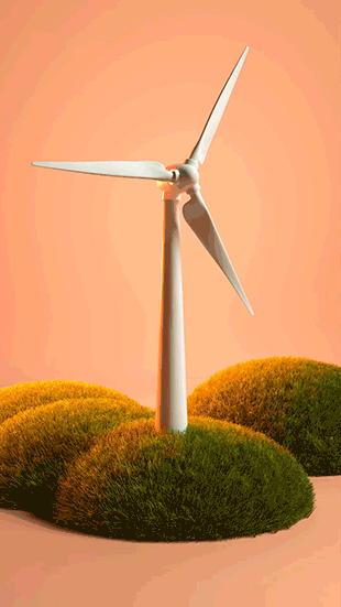 Windy