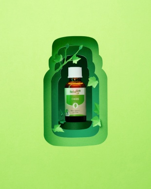 Alexis Facca - Herbalgem