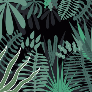 Jungle