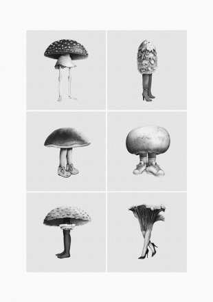 Fashion Mushroom