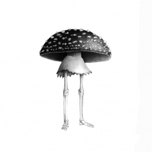 Fashion Mushroom