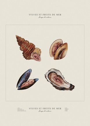 Vulves et fruits et de mer