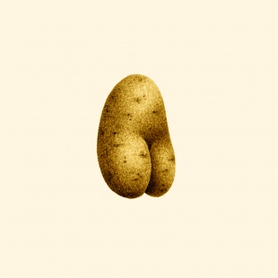 Sexyfood