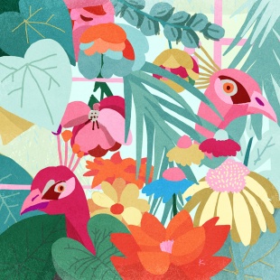Les oiseaux